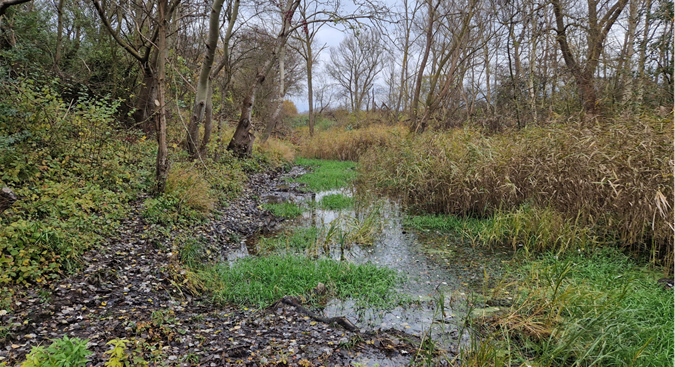 Situation am Fuß der in Dammlage befindlichen B 207 (vor dem Ausbau) in schwer zugänglichen Terrain