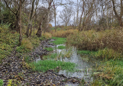 Situation am Fuß der in Dammlage befindlichen B 207 (vor dem Ausbau) in schwer zugänglichen Terrain