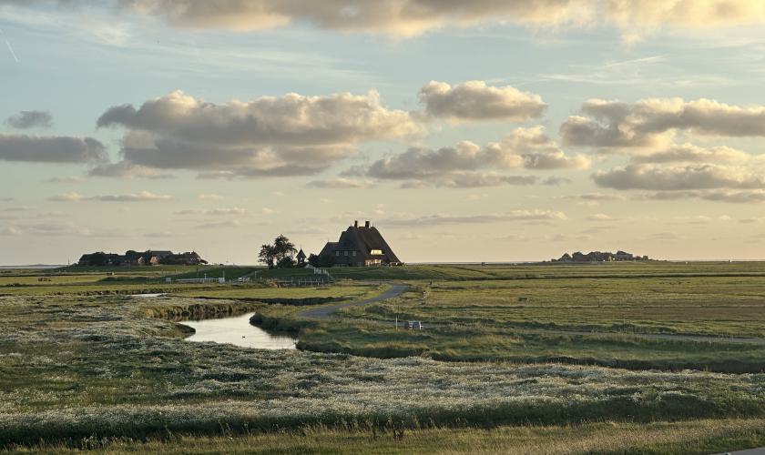 Warft auf Hallig Hooge