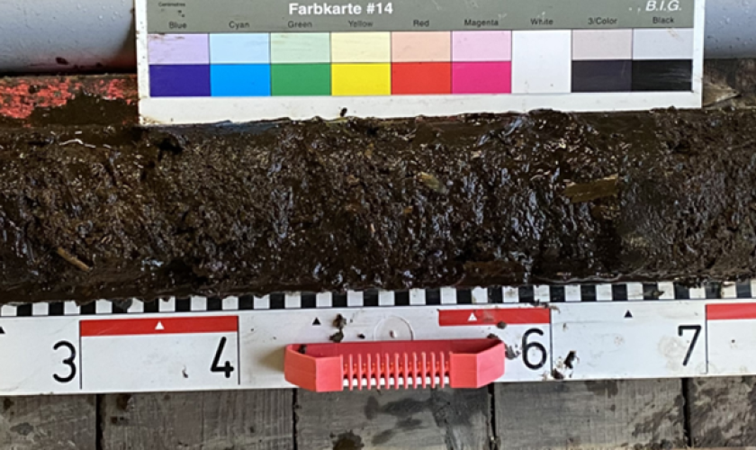 Lineransprache (mächtige Torf– und Muddeablagerungen)